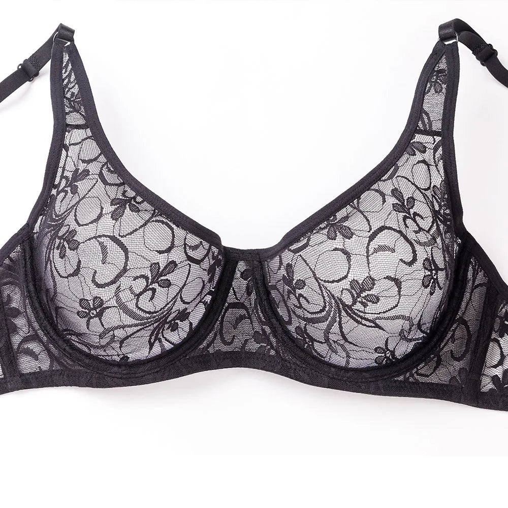 Sheer Embroidered Lace Plunge Underwire Bra
