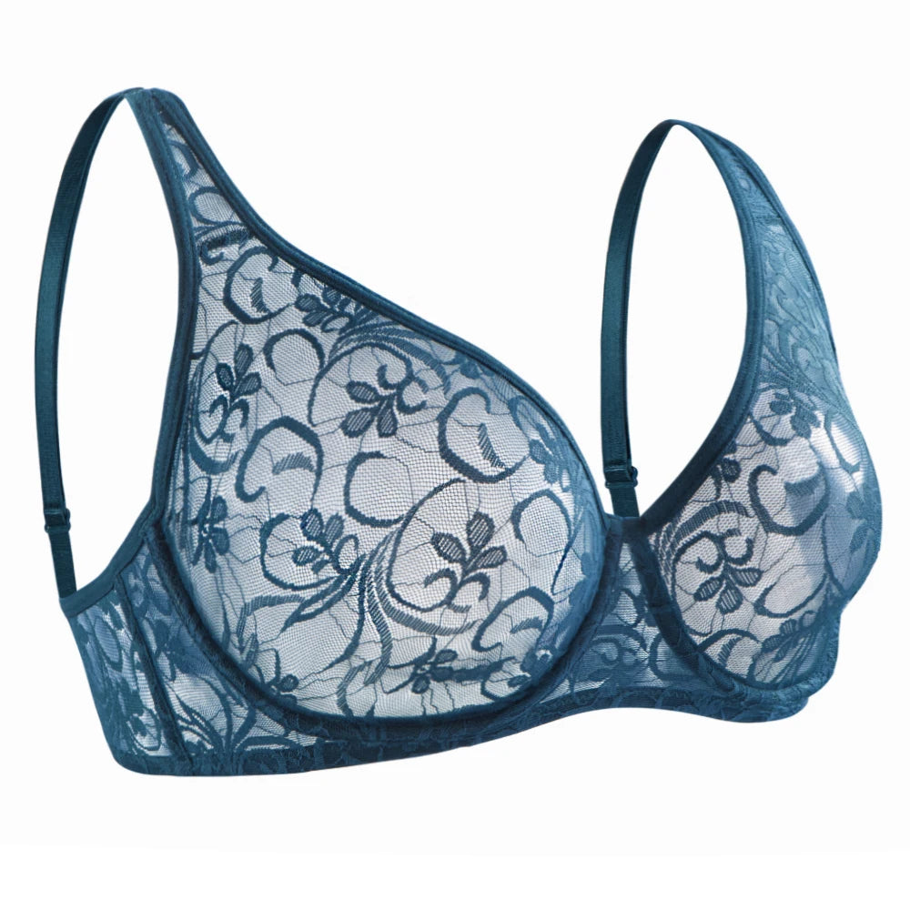 Sheer Embroidered Lace Plunge Underwire Bra